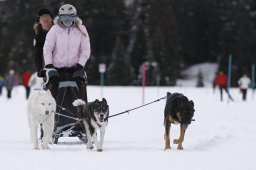 Lenzerheide 2013